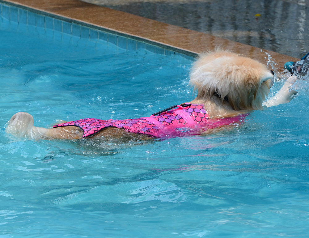 Schwimmweste für Hunde