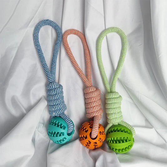 Hundespielzeug Ball mit Seil