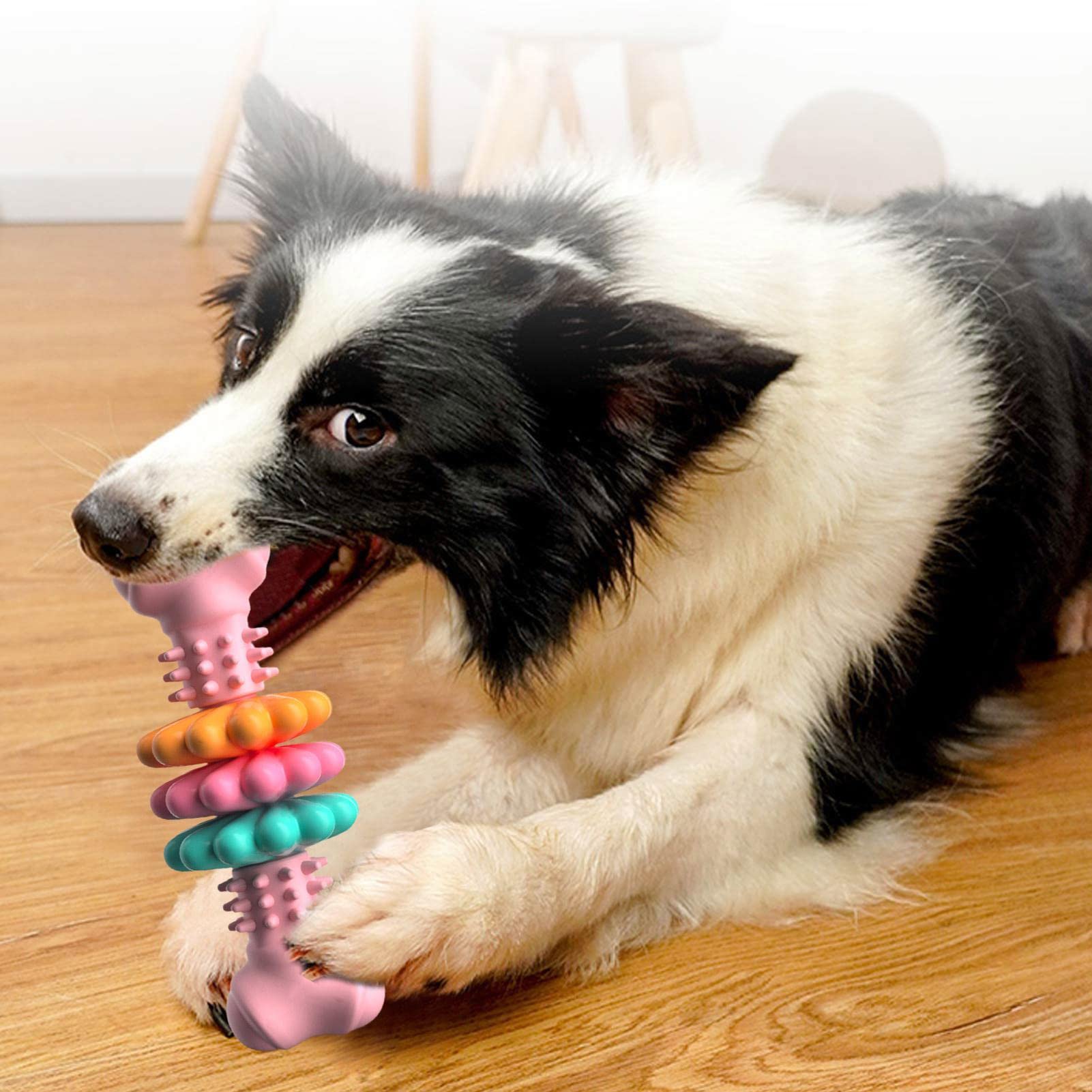 Hundespielzeug | Kauknochen | Kauspielzeug | Hundezahnbürste